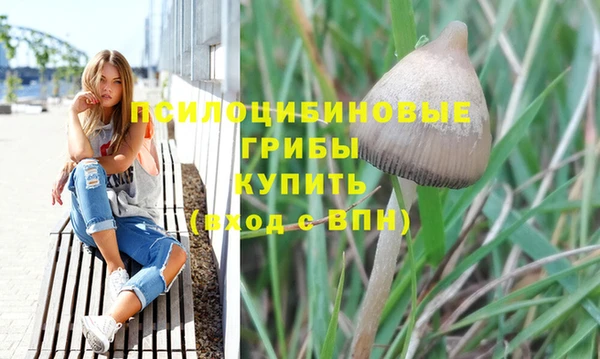 дживик Абинск
