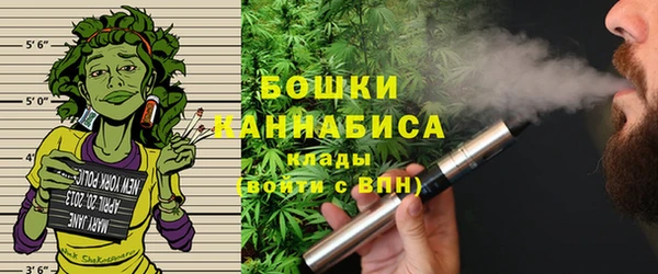 PSILOCYBIN Абдулино